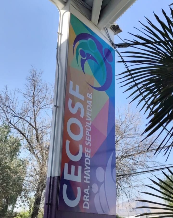 Capacitación a funcionarios del Cecosf Haydeé Sepúlveda en Huertos Medicinales - Alimenticios y MHT